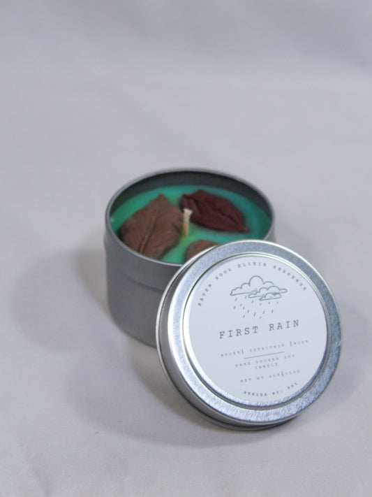 Series #3: 001 First Rain